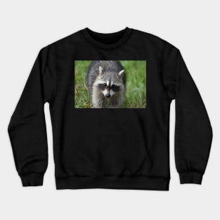 Raccoon Crewneck Sweatshirt